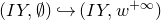 left parenthesis upper I upper Y comma normal empty set right parenthesis right arrow with hook left parenthesis upper I upper Y comma w Superscript plus normal infinity Baseline right parenthesis