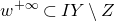 w Superscript plus normal infinity Baseline subset of upper I upper Y minus upper Z