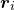 bold italic r Subscript i