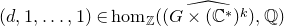 left parenthesis d comma 1 comma ellipsis comma 1 right parenthesis element of hom Subscript double struck upper Z Baseline left parenthesis ModifyingAbove left parenthesis upper G times left parenthesis double struck upper C Superscript asterisk Baseline right parenthesis Superscript k Baseline right parenthesis With caret comma double struck upper Q right parenthesis