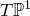 upper T double struck upper P Superscript 1