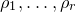 rho 1 comma ellipsis comma rho Subscript r Baseline
