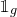 double struck 1 Subscript g