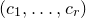 left parenthesis c 1 comma ellipsis comma c Subscript r Baseline right parenthesis