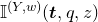 double struck upper I Superscript left parenthesis upper Y comma w right parenthesis Baseline left parenthesis bold italic t comma q comma z right parenthesis