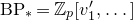 normal upper B normal upper P Subscript asterisk Baseline equals double struck upper Z Subscript p Baseline left bracket v prime 1 comma ellipsis right bracket