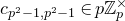 c Subscript p squared minus 1 comma p squared minus 1 Baseline element of p double struck upper Z Subscript p Superscript times