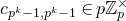 c Subscript p Sub Superscript k Subscript minus 1 comma p Sub Superscript k Subscript minus 1 Baseline element of p double struck upper Z Subscript p Superscript times