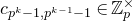 c Subscript p Sub Superscript k Subscript minus 1 comma p Sub Superscript k minus 1 Subscript minus 1 Baseline element of double struck upper Z Subscript p Superscript times