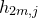 h Subscript 2 m comma j