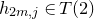 h Subscript 2 m comma j Baseline element of upper T left parenthesis 2 right parenthesis