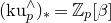 left parenthesis normal k normal u Subscript p Superscript and Baseline right parenthesis Subscript asterisk Baseline equals double struck upper Z Subscript p Baseline left bracket beta right bracket