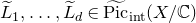 upper L overtilde Subscript 1 Baseline comma ellipsis comma upper L overtilde Subscript d Baseline element of ModifyingAbove normal upper P normal i normal c With tilde Subscript normal i normal n normal t Baseline left parenthesis upper X divided by double struck upper C right parenthesis