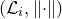 left parenthesis script upper L Subscript i Baseline comma StartMetric dot EndMetric right parenthesis