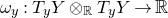 omega Subscript y Baseline colon upper T Subscript y Baseline upper Y circled times Subscript double struck upper R Baseline upper T Subscript y Baseline upper Y right arrow double struck upper R