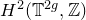 upper H squared left parenthesis double struck upper T Superscript 2 g Baseline comma double struck upper Z right parenthesis