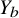 upper Y Subscript b
