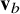 bold v Subscript b