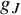 g Subscript upper J