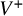 upper V Superscript plus