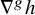 nabla Superscript g Baseline h