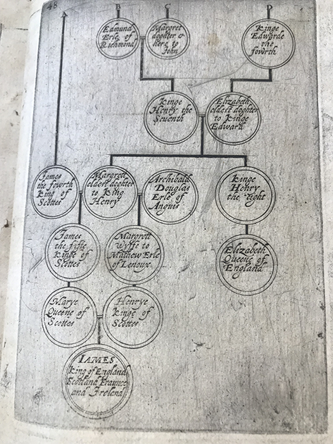Photograph of part of a printed genealogical tree. It maps the relationships of several generations of the English, Scottish, and French royal families in the sixteenth century. It shows that Elizabeth I and James VI both descend from Henry VII.