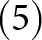 left parenthesis 5 right parenthesis