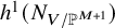 h Superscript 1 Baseline left parenthesis upper N Subscript upper V divided by double struck upper P Sub Superscript upper M plus 1 Subscript Baseline right parenthesis