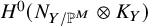upper H Superscript 0 Baseline left parenthesis upper N Subscript upper Y divided by double struck upper P Sub Superscript upper M Subscript Baseline circled times upper K Subscript upper Y Baseline right parenthesis