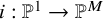 i colon double struck upper P Superscript 1 Baseline right arrow double struck upper P Superscript upper M
