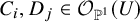 upper C Subscript i Baseline comma upper D Subscript j Baseline element of script upper O Subscript double struck upper P Sub Superscript 1 Subscript Baseline left parenthesis upper U right parenthesis
