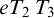e upper T 2 upper T 3