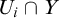 upper U Subscript i Baseline intersection upper Y