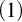 left parenthesis 1 right parenthesis