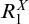 upper R 1 Superscript upper X