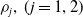 rho Subscript j Baseline comma left parenthesis j equals 1 comma 2 right parenthesis