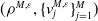 left parenthesis rho Superscript upper M comma epsilon Baseline comma left brace v Subscript j Superscript upper M comma epsilon Baseline right brace Subscript j equals 1 Superscript upper M Baseline right parenthesis