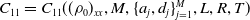 upper C 11 equals upper C 11 left parenthesis left parenthesis rho 0 right parenthesis Subscript x x Baseline comma upper M comma left brace a Subscript j Baseline comma d Subscript j Baseline right brace Subscript j equals 1 Superscript upper M Baseline comma upper L comma upper R comma upper T right parenthesis
