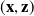 left parenthesis bold x comma bold z right parenthesis