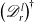 left parenthesis script upper D Subscript r Superscript l Baseline right parenthesis Superscript bold dagger