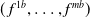 left parenthesis f Superscript 1 b Baseline comma ellipsis comma f Superscript m b Baseline right parenthesis