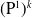 left parenthesis normal upper P Superscript 1 Baseline right parenthesis Superscript k