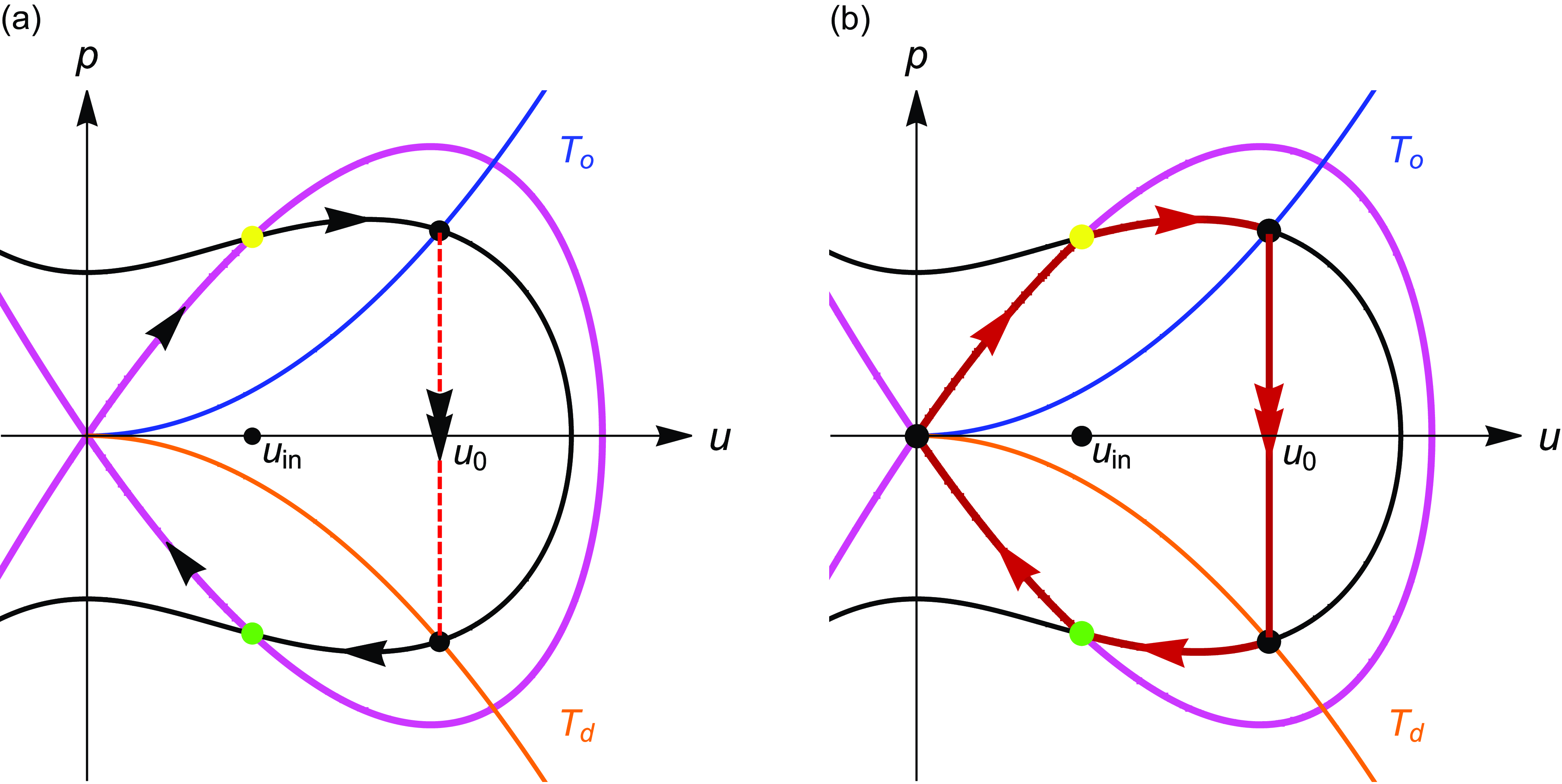 Diagram of a singular homoclinic orbit with fast and slow segments.