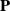 bold upper P