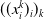 left parenthesis left parenthesis x Subscript i Superscript k Baseline right parenthesis Subscript i Baseline right parenthesis Subscript k