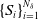 left brace upper S Subscript i Baseline right brace Subscript i equals 1 Superscript upper N Super Subscript delta