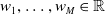 w 1 comma ellipsis comma w Subscript upper M Baseline element of double struck upper R