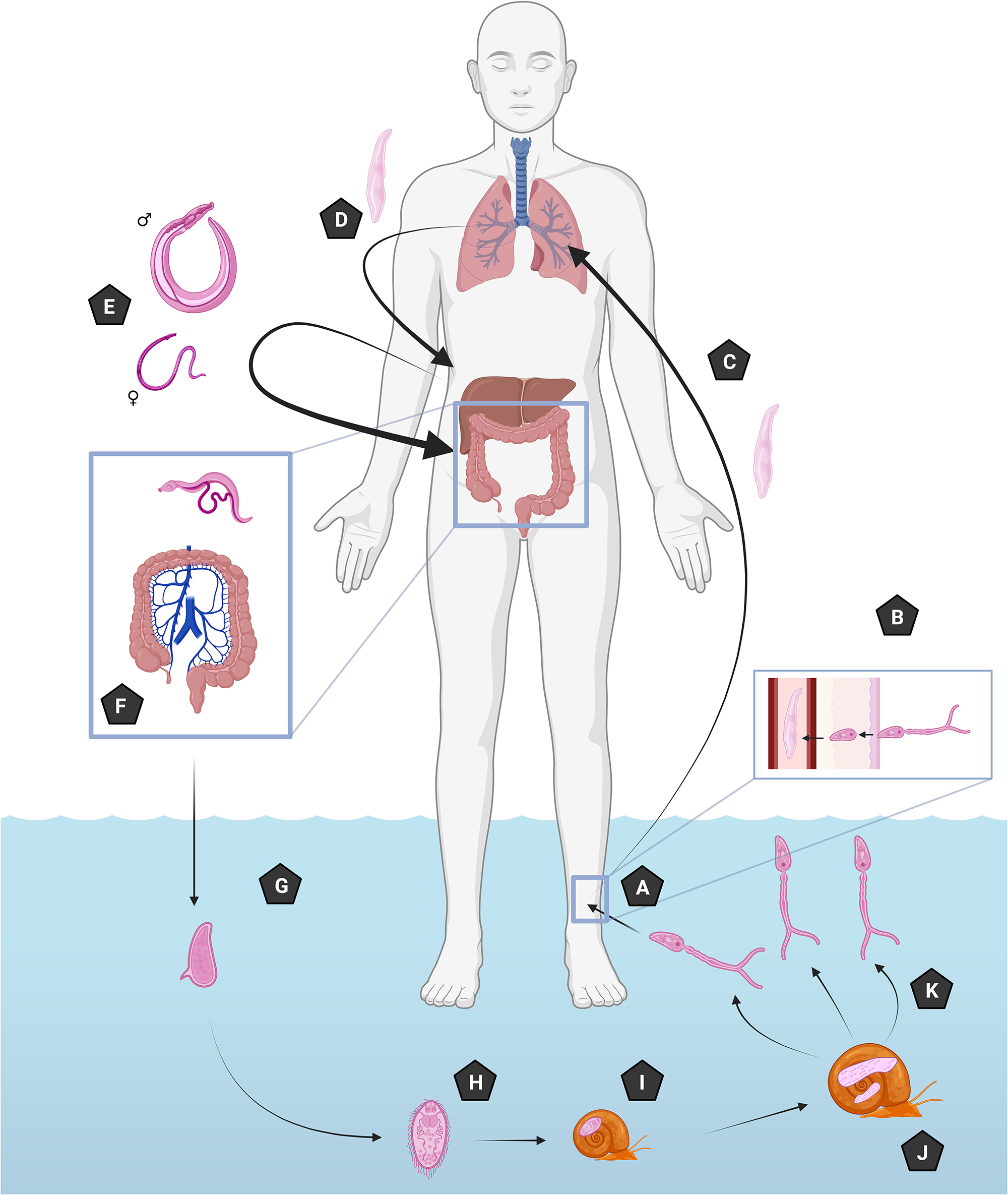 Figure 0