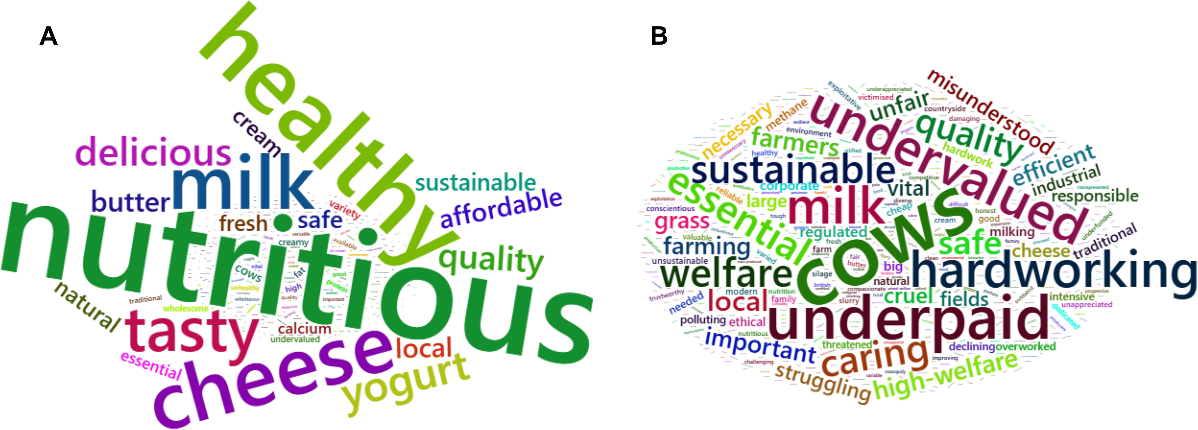 A word cloud illustrating consumer perceptions of dairy products and the dairy industry.