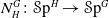 upper N Subscript upper H Superscript upper G Baseline colon script upper S p Superscript upper H Baseline right arrow script upper S p Superscript upper G